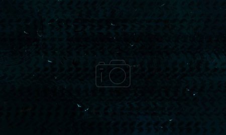 Photo for A photo showing a black background out of focus, creating a blurry effect. - Royalty Free Image