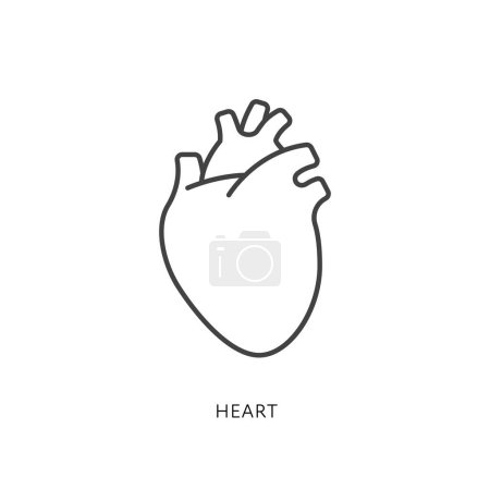 Ilustración de Outline style health care ui icons collection. Vector black linear illustration. Heart anatomy symbol isolated on white background. Design element for healthcare, cardiology world day - Imagen libre de derechos