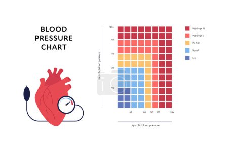 Blutdruck-Infografik. Vektorflache Illustration. Hypertonie im Gesundheitswesen isoliert auf weißem Hintergrund. Gitter mit niedrigem, normalem, hohem Niveau und Herzorgan. Design für Gesundheitswesen, Kardiologie.