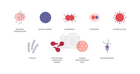 Illustration for Sexual transmitted disease infographic. Vector flat healthcare illustration color icon set. STD infection type. HIV, HPV, chlamidia, gonorrhea, herpes, mycoplasma, syphilis symbol. - Royalty Free Image
