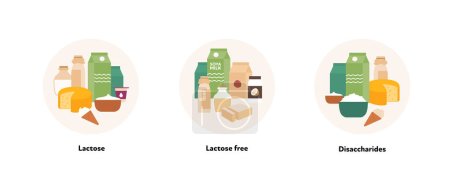 Illustration for Healthcare dieting infographic collection. Vector flat food illustration. Low Fodmap diet. Foodplate of lactose, lactose free and disaccharide ingredients. Design for health care and healthy eating - Royalty Free Image