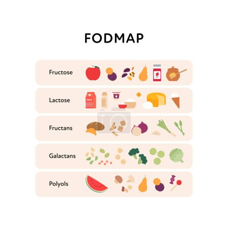 Infosammlung zur Gesundheitsdiät. Vektorgrafik für flache Lebensmittel. Low-Fodmap-Diät. Arten von Fruktose, Laktose, Fructan, Galactan, Polyol-Produkt. Plakatgestaltung für einen Leitfaden für gesunde Ernährung