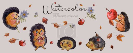 Ilustración de Conjunto acuarela de ilustración vectorial. Erizo forestal, manzanas hojas de otoño - Imagen libre de derechos