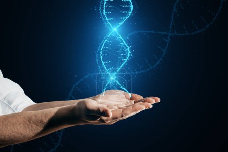 Photo for Close up of male hands holding glowing DNA helix hologram on dark background. Medicine and bioengineering concept - Royalty Free Image