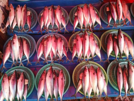 Photo for South Korea, July 2016: Fish market - Royalty Free Image