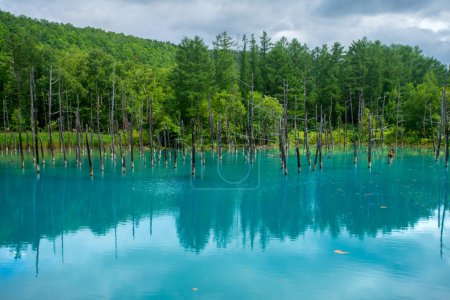 Téléchargez les photos : Étang bleu shirogane, couleur qui serait due à l'hydroxyde d'aluminium colloïdal dans l'eau, Biei, sous-préfecture de Kamikawa, Hokkaido, Japon - en image libre de droit