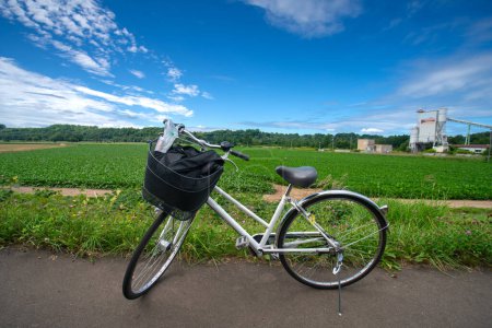 Foto de Biei, subprefectura de Kamikawa, Hokkaido, Japón - 13 de agosto de 2023 - Escena de la ruta en bicicleta a la cascada de Shirahige - Imagen libre de derechos