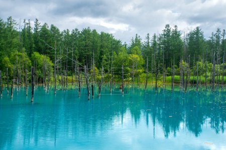 Foto de Estanque azul de Shirogane, se cree que el color es el resultado del hidróxido de aluminio coloidal en el agua, Biei, subprefectura de Kamikawa, Hokkaido, Japón - Imagen libre de derechos