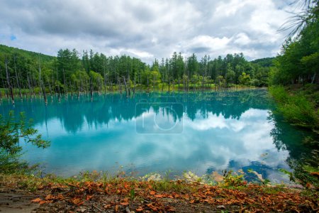 Téléchargez les photos : Étang bleu shirogane, couleur qui serait due à l'hydroxyde d'aluminium colloïdal dans l'eau, Biei, sous-préfecture de Kamikawa, Hokkaido, Japon - en image libre de droit
