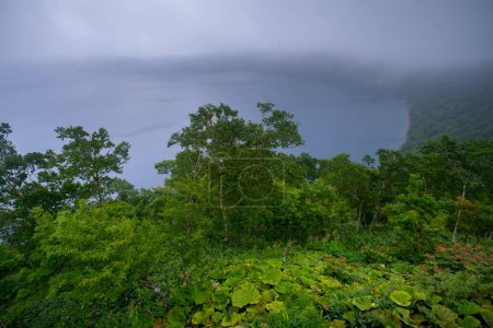 Foto de Lago Mashu, un lago de cráter endorreico formado en la caldera de un volcán potencialmente activo en el Parque Nacional Akan Mashu, Teshikaga, Subprefectura de Kushiro, Hokkaido, Japón - Imagen libre de derechos