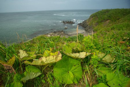 Foto de Cabo Nosappu, el punto más oriental en Hokkaido, y también en Japón, en la península de Nemuro, donde las aguas del Océano Pacífico se encuentran Mar de Okhotsk, Nemuro, Hokkaido, Japón - Imagen libre de derechos