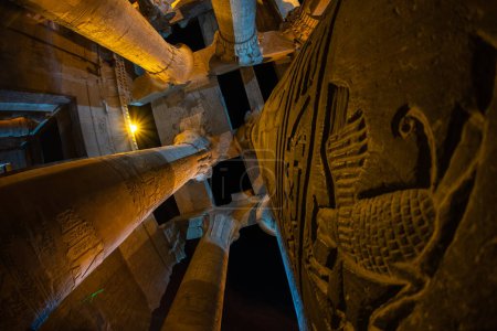 Téléchargez les photos : Le Temple de Kom Ombo, un double temple insolite dédié au dieu crocodile Sobek et au dieu faucon Haroeris (Horus l'Ancien), Kom Ombo, Assouan, Egypte - en image libre de droit
