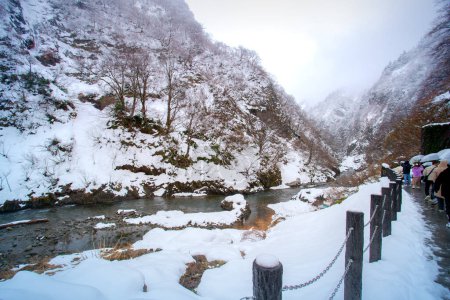 Kiyotsu-Schlucht oder Kiyotsu-kyo, eine Schlucht am Kiyotsu-Fluss im Joshinetsu-kogen Nationalpark, Tokamachi, Präfektur Niigata, Japan