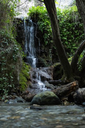 Photo for Fresh waterfall among nature - Royalty Free Image
