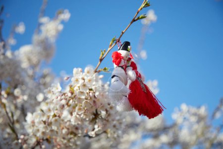 Bulgarian traditional spring decor martenitsa on the blossom tree. Baba Marta holiday
