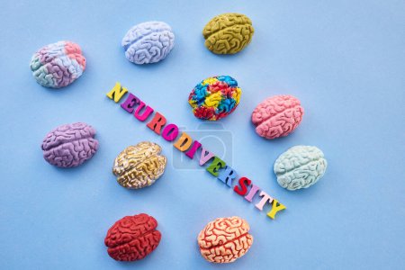 Photo for Neurodiversity concept. Multicolored figures of the brain. - Royalty Free Image