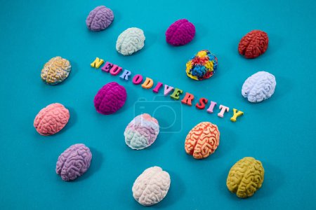 Photo for Neurodiversity concept. Multicolored figures of the brain. - Royalty Free Image