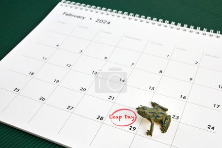 Happy Leap day or leap year. Calendar page 29 February