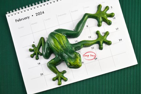 Foto de Feliz día bisiesto el 29 de febrero con Jumping Frog. - Imagen libre de derechos