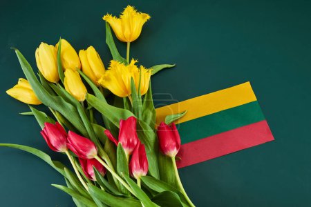 Congratulation for March 11, Lithuania Independence Day. Lithuanian tricolor and bouquets of tulips.