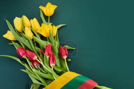 Congratulation for March 11, Lithuania Independence Day. Lithuanian tricolor and bouquets of tulips.