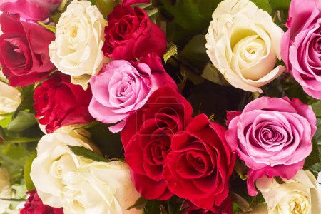 Photo for Colorful roses background. Flowers wall background, Wedding decoration. - Royalty Free Image