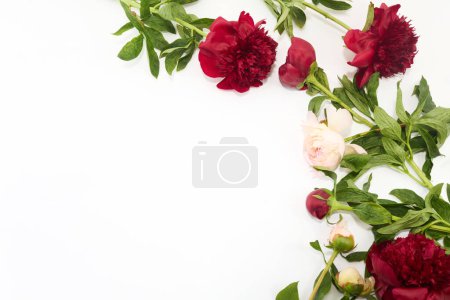 A beautiful corner border arrangement of red and pink peonies on a white background.