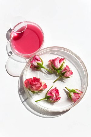 Pink roses lie on a clear plate beside a cup with pink liquid, white surface background.