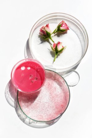 Draufsicht auf lebendige Cocktails mit Rosengarnitur vor hellem Hintergrund.