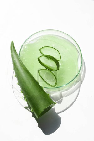 Fresh aloe vera slices laid out on a petri dish with gel.