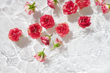 Des roses roses vibrantes avec des bourgeons flottent sur l'eau qui ondule doucement, baignées de lumière du soleil.