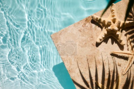 Ein ruhiger Pool mit Seesternen auf sonnenbeschienenen Fliesen, der die Essenz des Sommers einfängt.