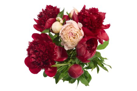 Lush arrangement of red and pink peonies with green leaves.