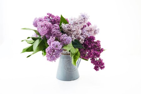 A vibrant arrangement of lilac flowers in a blue vase on a white background.