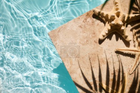 A starfish on a stone ledge casting a shadow over sparkling pool water.