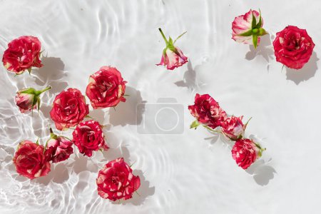 Vibrant red roses with green stems afloat on clear rippling water under bright light.