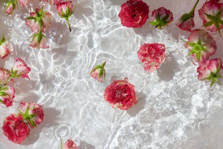 Fresh pink roses with green stems float in clear, sunlit water with ripples.
