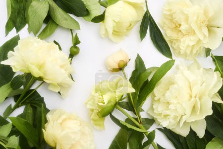 Overhead view of yellow peonies with green leaves on a white background.