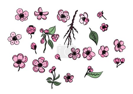 Téléchargez les illustrations : Doodle art Peach blossom plant and Sakura flower vector - en licence libre de droit