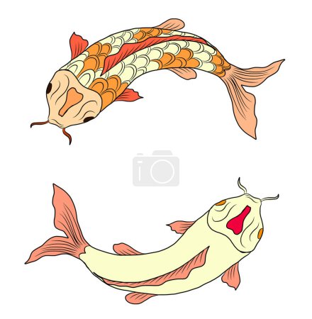 koi carp vector isolate for tattoo.Japanese carp drawing.Hand drawn line art of Koi carp. Vector isolated. Idea for tattoo and coloring books.Traditional Japanese culture element for printing on wall.
