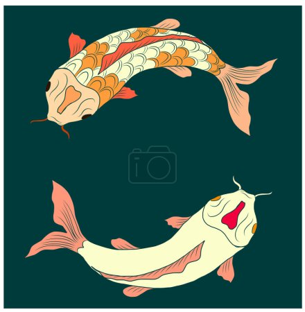 koi carp vector isolate for tattoo.Japanese carp drawing.Hand drawn line art of Koi carp. Vector isolated. Idea for tattoo and coloring books.Traditional Japanese culture element for printing on wall.
