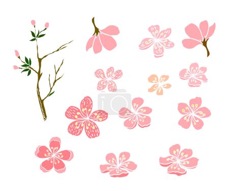 Set de vectores de flores Sakura de mano libre, hermoso arte de línea flor de melocotón aislado sobre fondo blanco. Rama de flor de cerezo para pintar sobre papel pintado o idea de tatuaje sobre fondo.