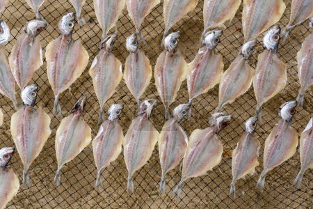 Gutted fish is dried on a metal mesh on a beach background