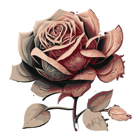 Illustration for Rose Flower Drawing for sticker or use as poster, card, flyer or T Shirt - Royalty Free Image