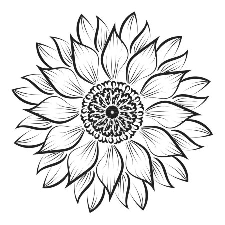 Téléchargez les illustrations : Tournesol contour, Tournesol Line Art, Dessin Floral Line, illustration vectorielle tournesol noir et blanc - en licence libre de droit