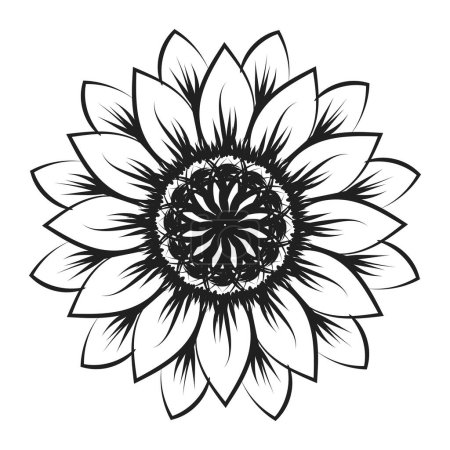 Illustration for Sunflower Outline, Sunflower Line Art, Floral Line Drawing, black and white sunflowers vector illustration - Royalty Free Image