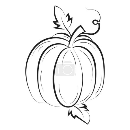 Illustration for Printable Pumpkin Coloring Pages For Kids or use as poster, card, flyer or T Shirt - Royalty Free Image