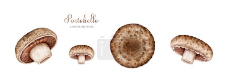 Photo for Portobello mushroom set. Watercolor illustration. Agaricus bisporus fungus element collection. Portobello mushroom image set. Vintage style. Side and top view. Edible fungus on white background. - Royalty Free Image