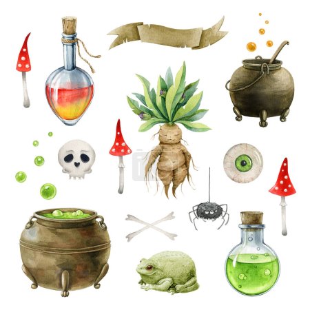 Potion making element set. Watercolor painted illustration. Hand drawn autumn festive halloween collection. Potion, witch pot, mandrake, scull elements. Vintage cartoon style witchcraft set