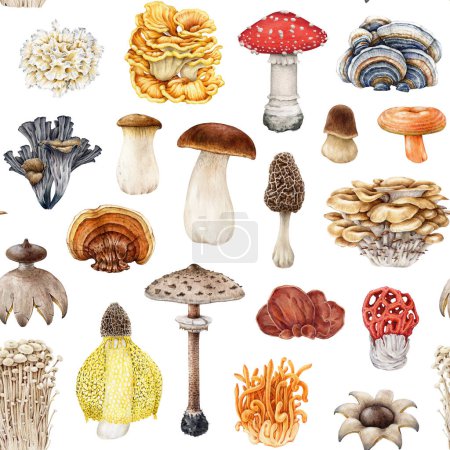 Vintage style mushroom seamless pattern. Watercolor illustration. Hand drawn various mushroom collection. Different fungi on white background. Porcini, fly agaric, cordyceps, reishi white background.